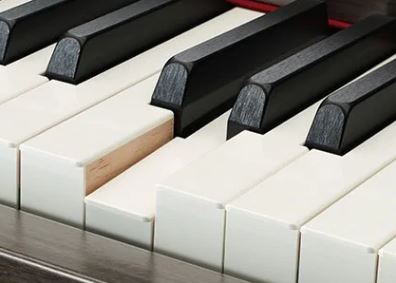 Ellis Piano | Yamaha Clavinova Synthetic Ivory Keytops with Wooden Keys | Birmingham, AL Piano Store